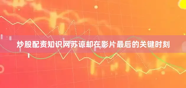 炒股配资知识网苏谅却在影片最后的关键时刻