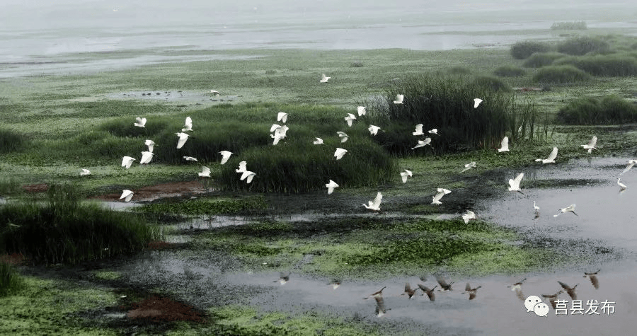 經山歷海(經山歷海在哪里拍攝)